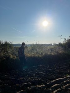 Kleine Münsterländer - HZP Coesfeld